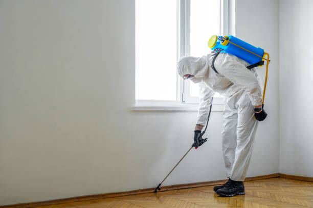 Best Local Pest Control Services  in Fostoria, OH