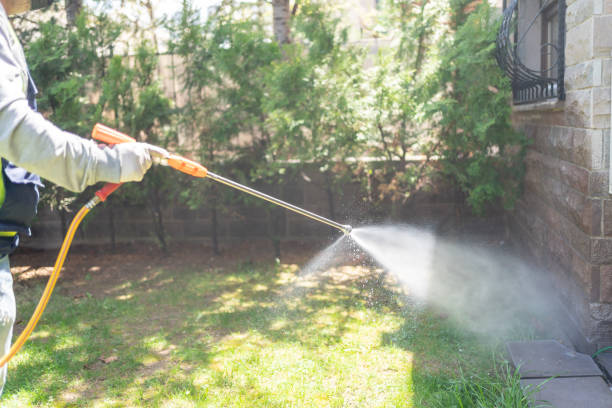 Best Wasp Removal Services  in Fostoria, OH