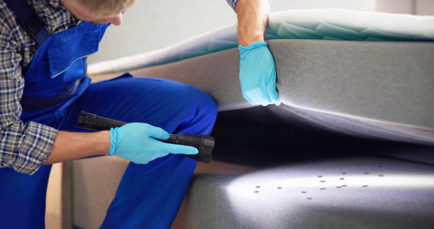 Best Affordable Pest Control Services  in Fostoria, OH