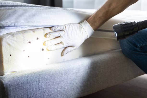 Best Bed Bug Extermination  in Fostoria, OH