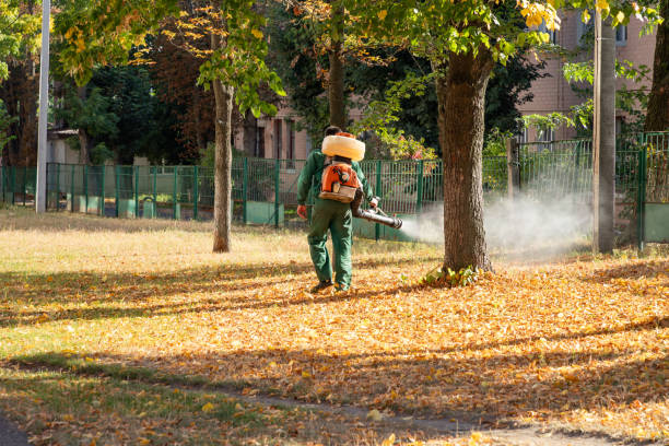Best Pest Prevention Services  in Fostoria, OH