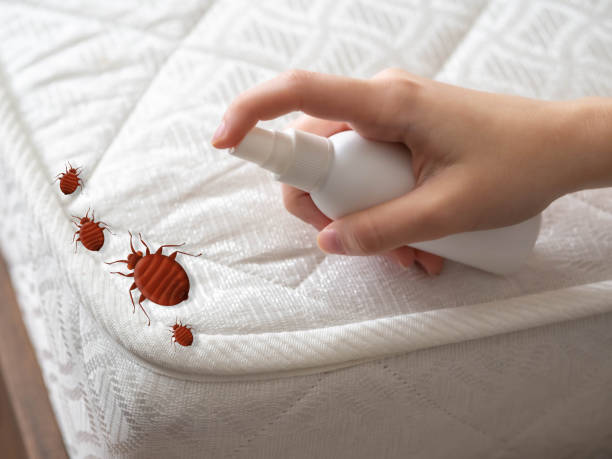 Best Mosquito Control Services  in Fostoria, OH