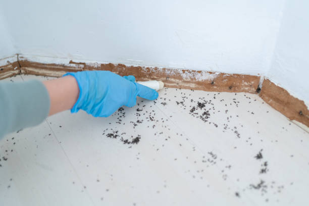 Pest Control for Restaurants in Fostoria, OH