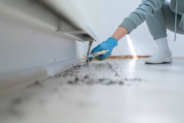 Best Commercial Pest Control Services  in Fostoria, OH